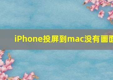 iPhone投屏到mac没有画面