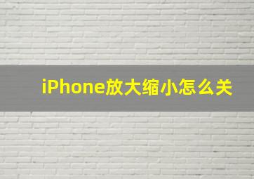 iPhone放大缩小怎么关