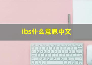 ibs什么意思中文