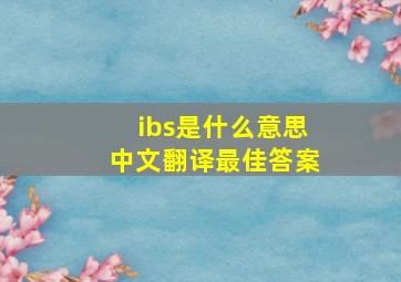 ibs是什么意思中文翻译最佳答案