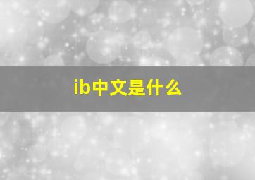 ib中文是什么