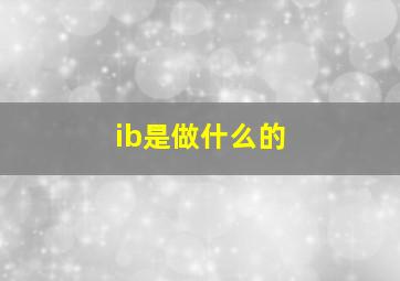 ib是做什么的