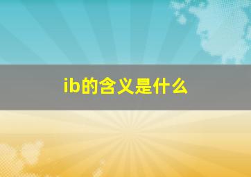 ib的含义是什么