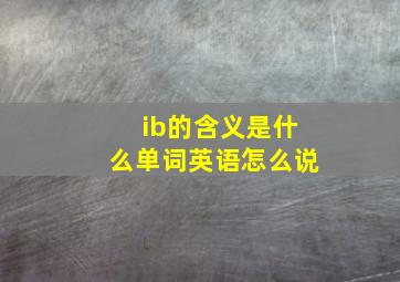 ib的含义是什么单词英语怎么说