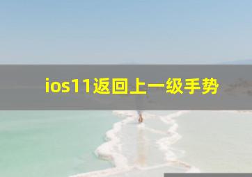 ios11返回上一级手势