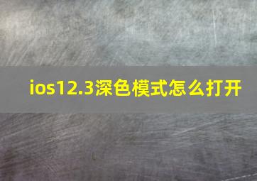 ios12.3深色模式怎么打开