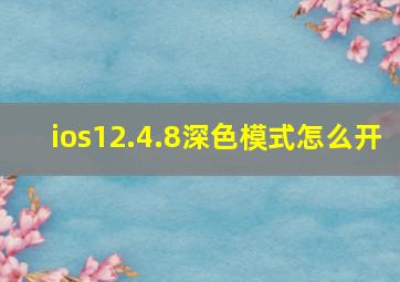 ios12.4.8深色模式怎么开