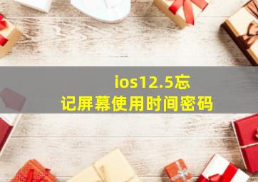 ios12.5忘记屏幕使用时间密码