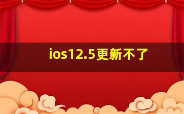 ios12.5更新不了