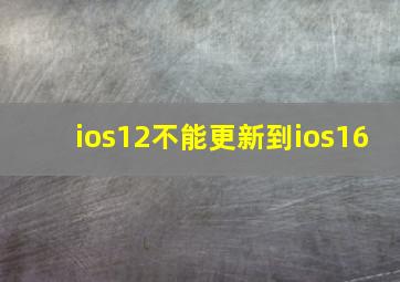 ios12不能更新到ios16