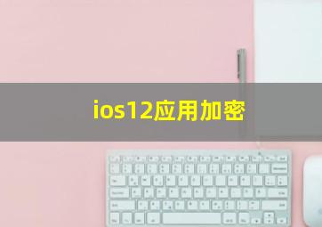 ios12应用加密