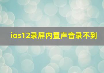 ios12录屏内置声音录不到