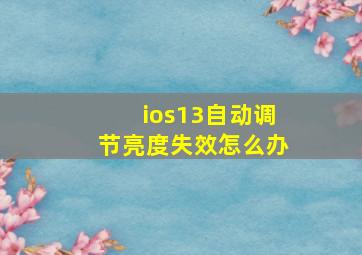 ios13自动调节亮度失效怎么办