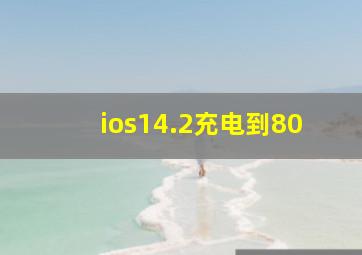 ios14.2充电到80