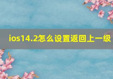 ios14.2怎么设置返回上一级