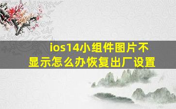 ios14小组件图片不显示怎么办恢复出厂设置