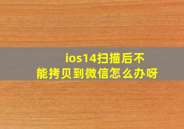 ios14扫描后不能拷贝到微信怎么办呀