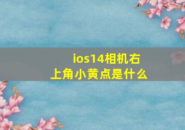 ios14相机右上角小黄点是什么