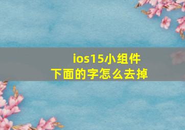 ios15小组件下面的字怎么去掉