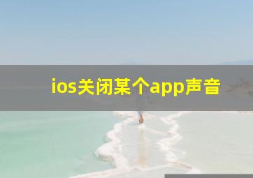 ios关闭某个app声音