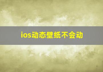 ios动态壁纸不会动