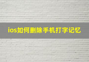 ios如何删除手机打字记忆