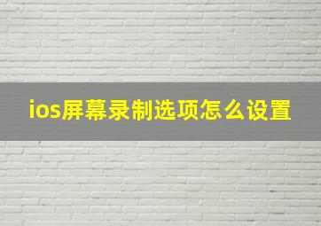 ios屏幕录制选项怎么设置