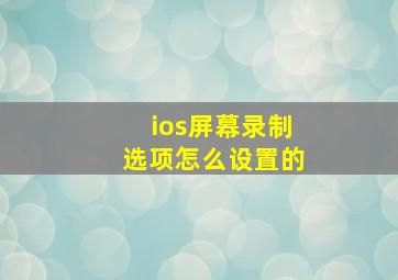 ios屏幕录制选项怎么设置的