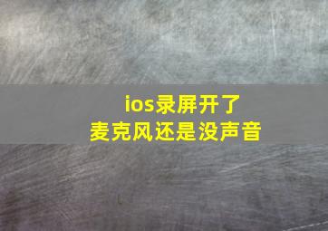 ios录屏开了麦克风还是没声音