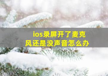 ios录屏开了麦克风还是没声音怎么办