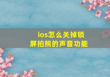 ios怎么关掉锁屏拍照的声音功能