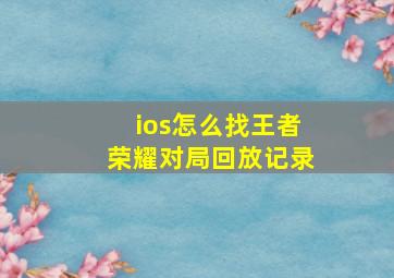 ios怎么找王者荣耀对局回放记录