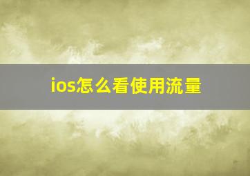 ios怎么看使用流量