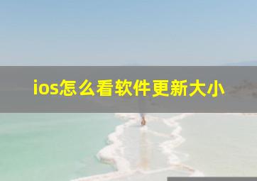 ios怎么看软件更新大小