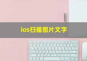 ios扫描图片文字