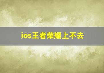 ios王者荣耀上不去