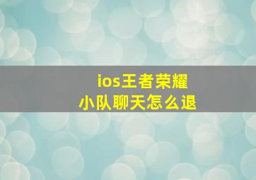 ios王者荣耀小队聊天怎么退