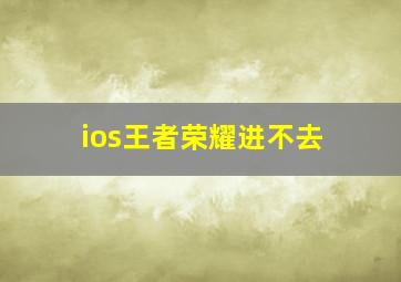 ios王者荣耀进不去