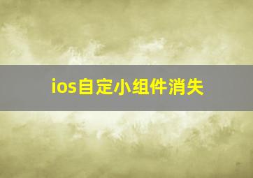 ios自定小组件消失