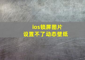 ios锁屏图片设置不了动态壁纸