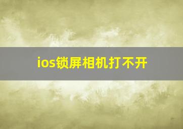 ios锁屏相机打不开