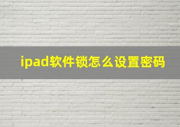 ipad软件锁怎么设置密码