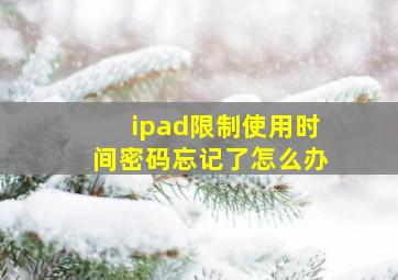 ipad限制使用时间密码忘记了怎么办