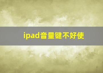 ipad音量键不好使