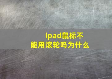 ipad鼠标不能用滚轮吗为什么