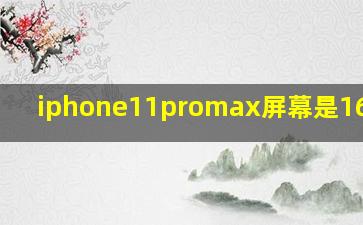 iphone11promax屏幕是16比9吗