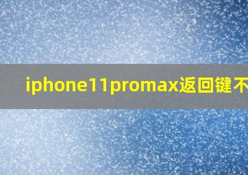 iphone11promax返回键不灵敏