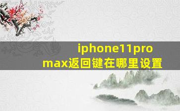 iphone11promax返回键在哪里设置