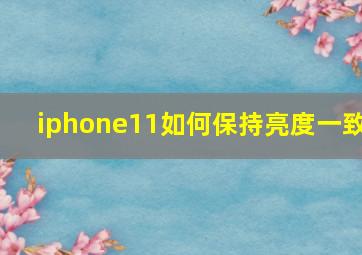 iphone11如何保持亮度一致