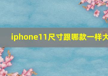 iphone11尺寸跟哪款一样大